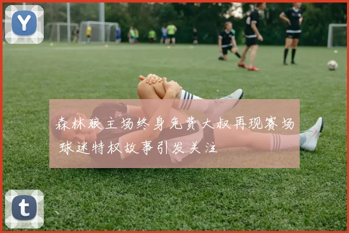 森林狼主场终身免费大叔再现赛场 球迷特权故事引发关注