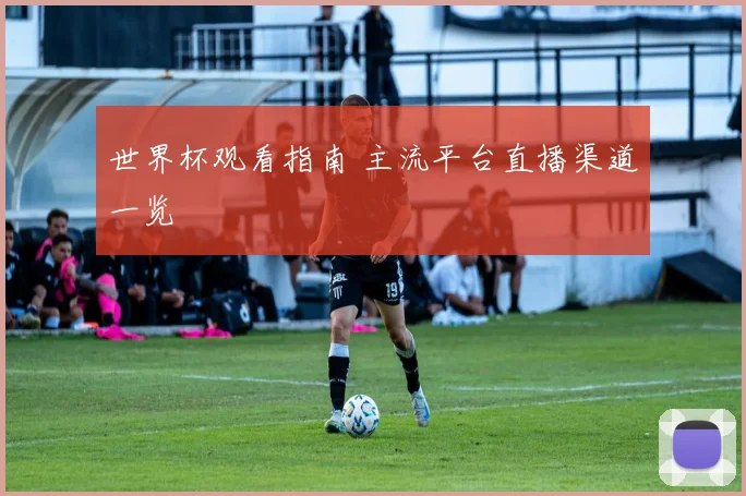 世界杯观看指南 主流平台直播渠道一览