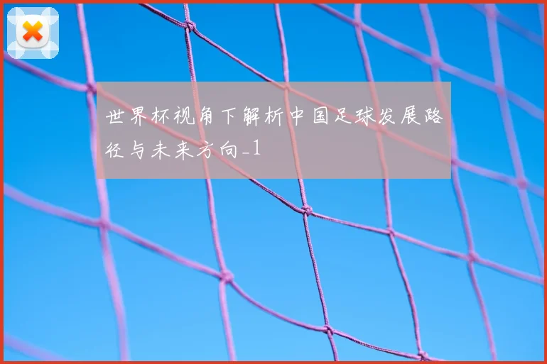世界杯视角下解析中国足球发展路径与未来方向_1